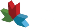 Logo BMG Institute